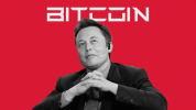 20210208_Bitcoin-Tesla-Elon-Musk-1200x675.png 20210208_Bitcoin-Tesla-Elon-Musk-1200x675.png